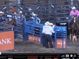 Rodeoing with my son