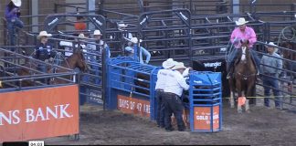 Rodeoing with my son