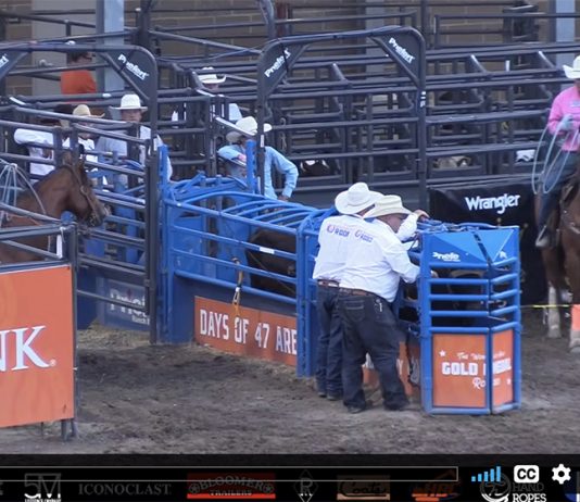 Rodeoing with my son