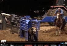 Green Light – Boot Camp Day 1