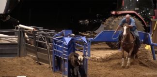 Green Light – Boot Camp Day 1