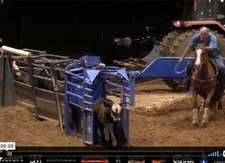 Green Light – Boot Camp Day 1