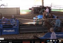 Working on my head horse, Green Light