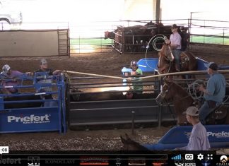 Working on my head horse, Green Light