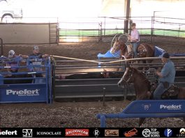 Speed and True Lacina win #16 at Billy Bob Browns