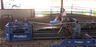 Speed and True Lacina win #16 at Billy Bob Browns