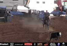 Blaze Update – 9.10.22