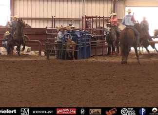 Foundation and Fundamentals