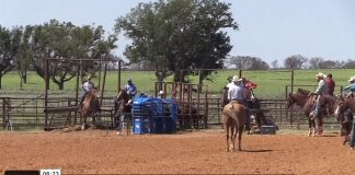 September Rodeos Runs – Speed, Gabe & Hali