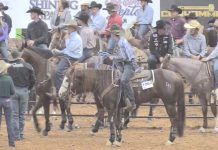 Gabe’s runs at the American Rope Horse Futurity