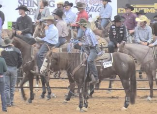 Gabe’s runs at the American Rope Horse Futurity