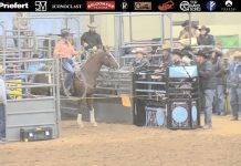 Hali’s Runs at WPRA Finals