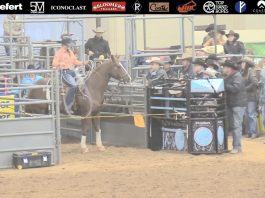 Hali’s Runs at WPRA Finals
