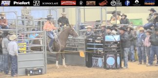 My life as a rodeo grunt