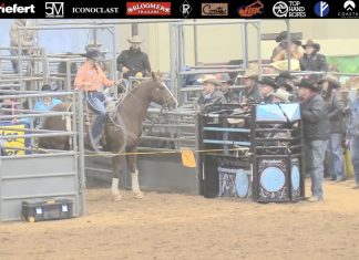 Hali’s Runs at WPRA Finals