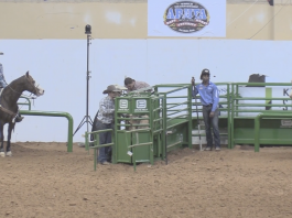 Rope Horse Futurity – Ft Worth