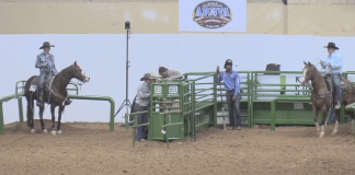 The challenges of teaching my son to head