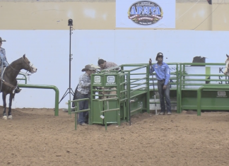 The challenges of teaching my son to head