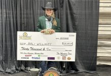 Las Vegas and the NFR