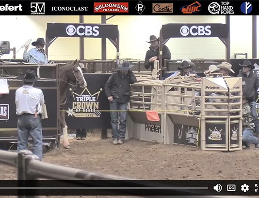 Hali’s Runs at WCRA rodeo in Ft Worth