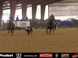 Why Breakaway Is More Like Heading Than Calf Roping