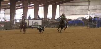 Why Breakaway Is More Like Heading Than Calf Roping