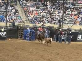 Trying to qualify for the American Rodeo