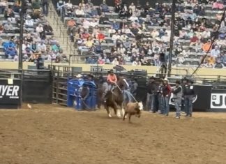 Trying to qualify for the American Rodeo