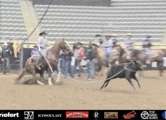 Hali’s Runs at the American Qualifiers in Tulsa and Lexington
