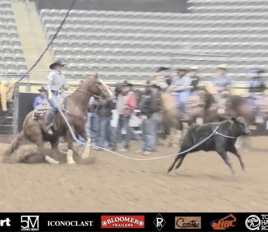 Hali’s Runs at the American Qualifiers in Tulsa and Lexington