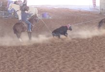 Josh Frost, Pro Bull Rider, and his wife spend time at the Williams Ranch