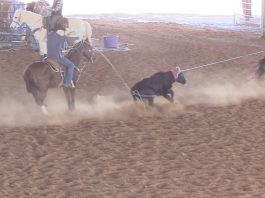 Josh Frost, Pro Bull Rider, and his wife spend time at the Williams Ranch