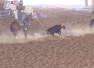 Josh Frost, Pro Bull Rider, and his wife spend time at the Williams Ranch