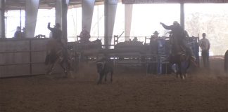 Speed & Gabe Runs at Lone Star Shootout pre-roping