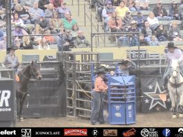 Speed & Gabe’s Run at American Regional Qualifier in Lexington