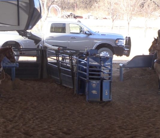 Speed and Wesley Thorp practice