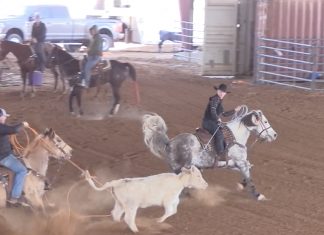 All of Wesley’s runs on 2.17.23