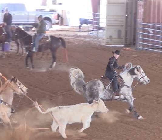 How’s your handle?