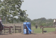 This week behind the scenes at rodeos