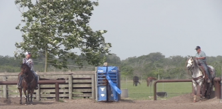 This week behind the scenes at rodeos