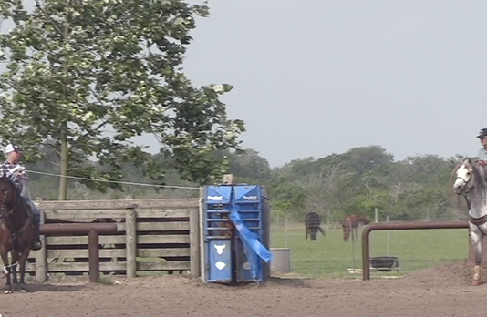 This week behind the scenes at rodeos