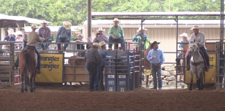 What I hope to teach my kids about rodeo