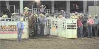 Hali getting ready for Cinch Playoffs