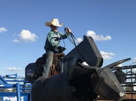 Why I teach heeling on the Speed Trainer