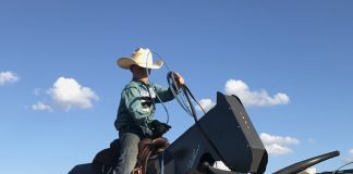 Why I teach heeling on the Speed Trainer