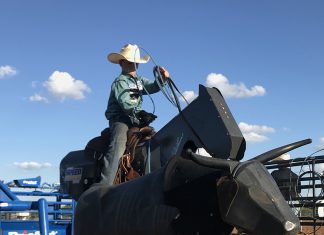 Why I teach heeling on the Speed Trainer