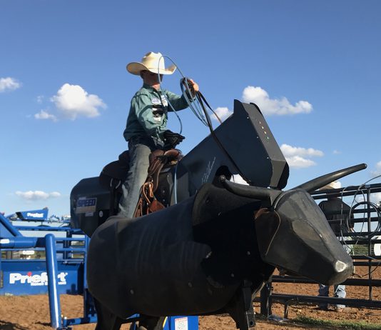 Why I teach heeling on the Speed Trainer