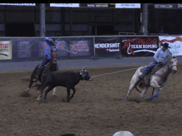 Setting up the handle