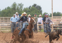 How my teaching has evolved