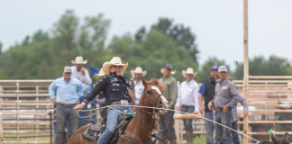 How my teaching has evolved